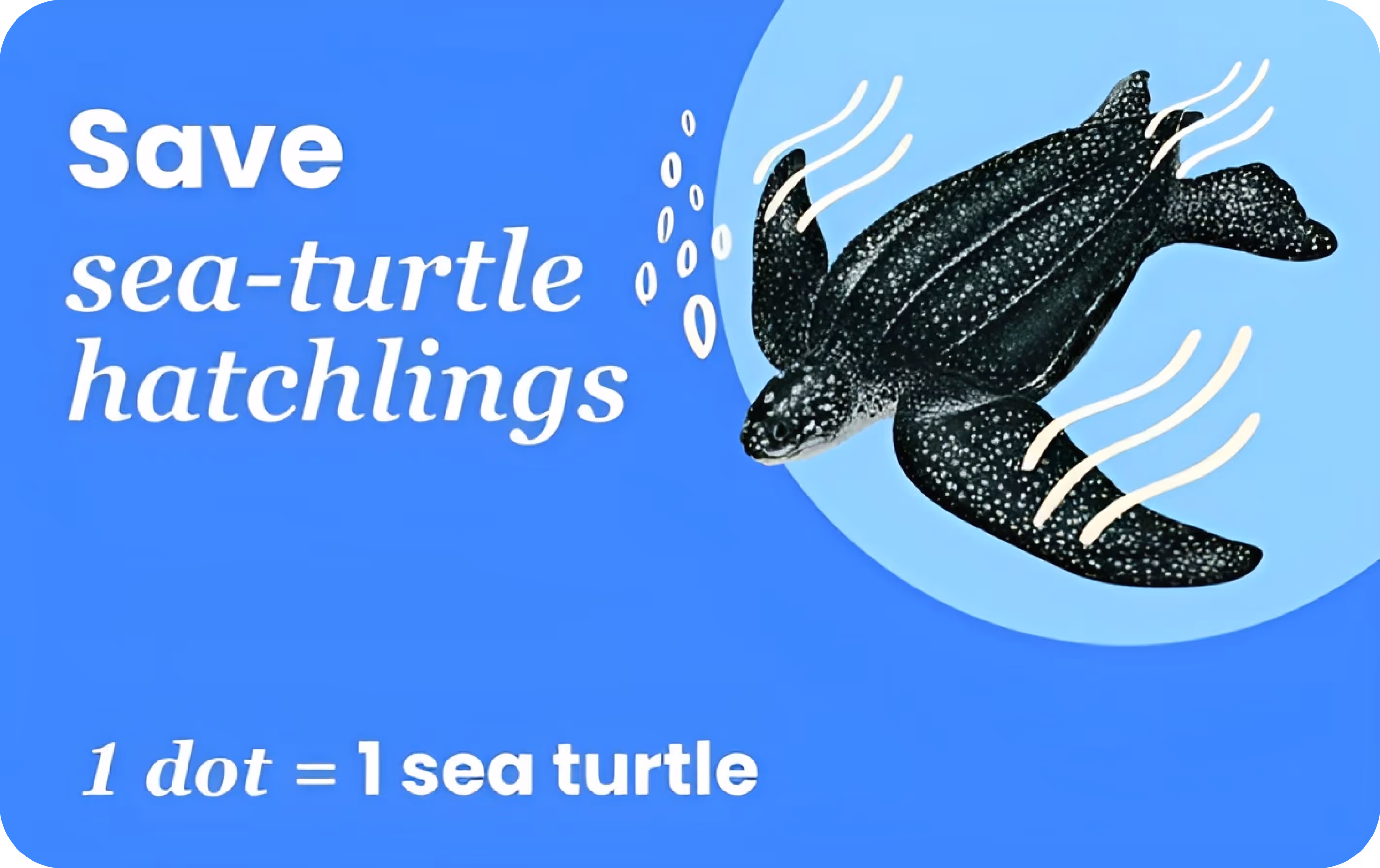 Save Sea Turtles